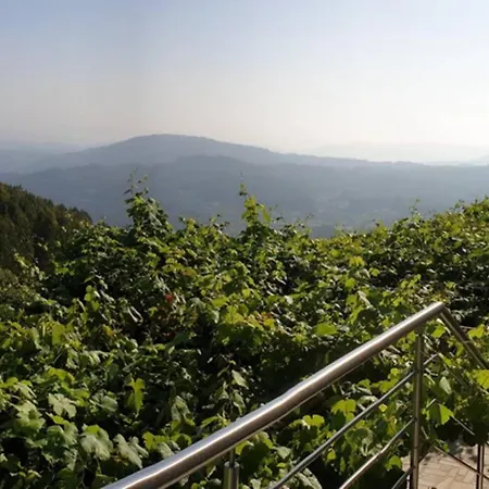 Prázdninový dům Casa De Ferias V6 Com Piscina Ponte de Lima