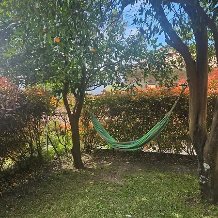 Casa De Ferias V6 Com Piscina Prázdninový dům Ponte de Lima
